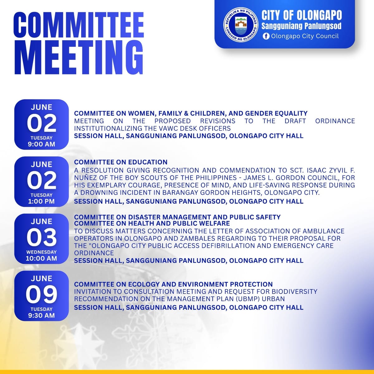 COMMITTEE MEETING