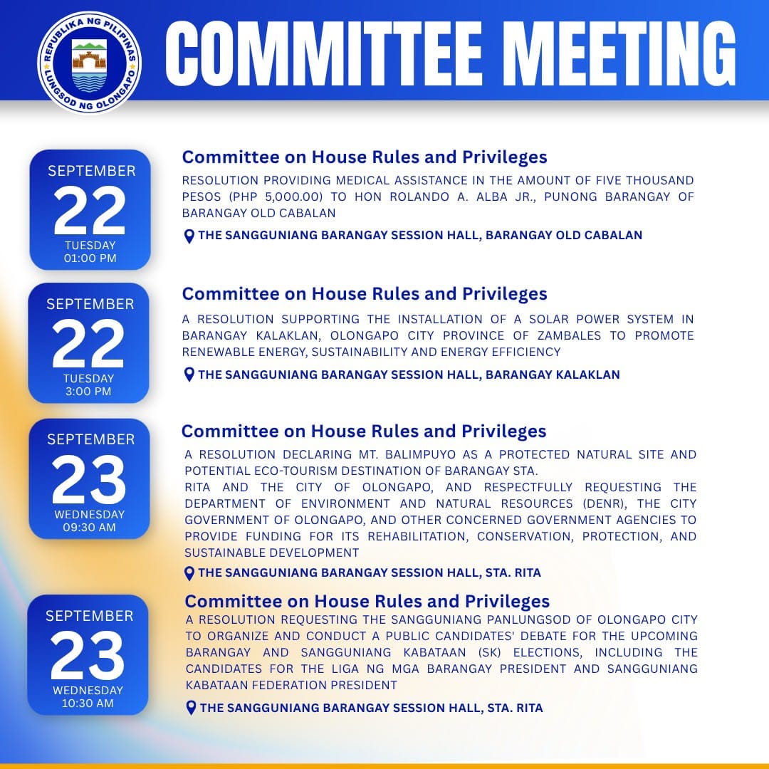 COMMITTEE MEETINGS