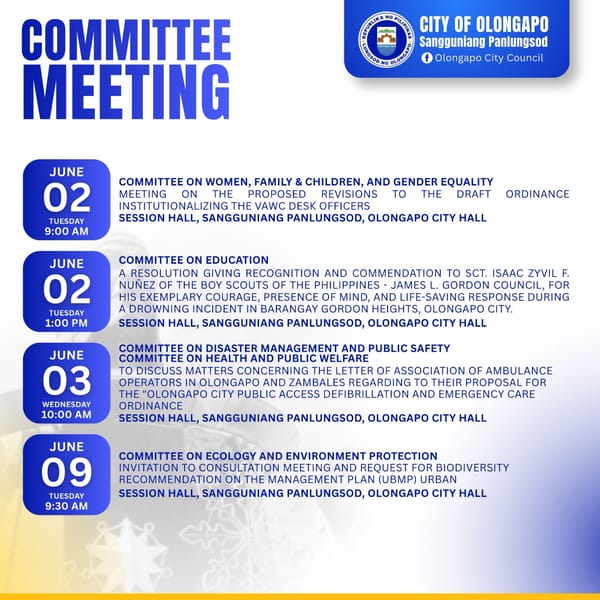 COMMITTEE MEETING