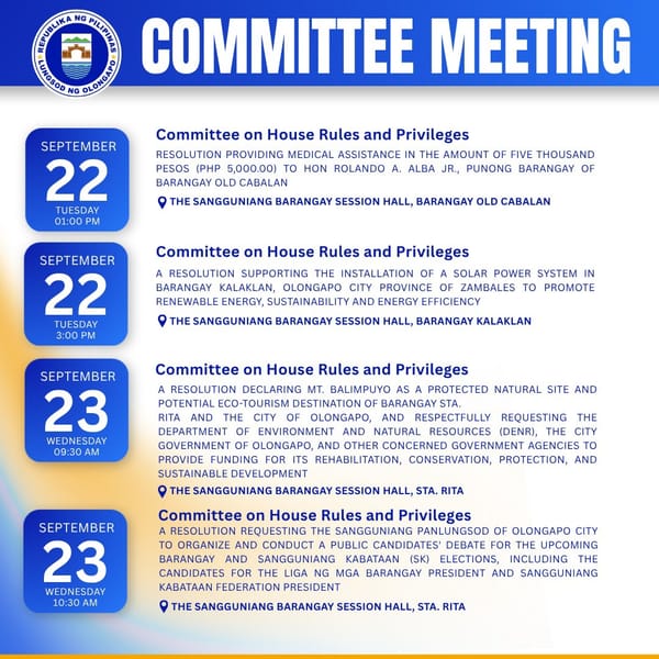 COMMITTEE MEETINGS
